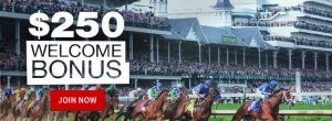 Horse Racing Betting at Bovada Racebook